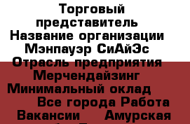 Торговый представитель › Название организации ­ Мэнпауэр СиАйЭс › Отрасль предприятия ­ Мерчендайзинг › Минимальный оклад ­ 41 100 - Все города Работа » Вакансии   . Амурская обл.,Тында г.